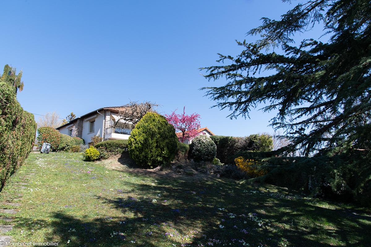 photo1